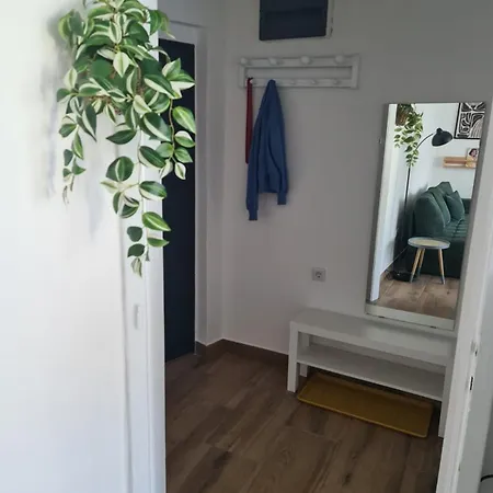 Lovely Belki * سراييفو